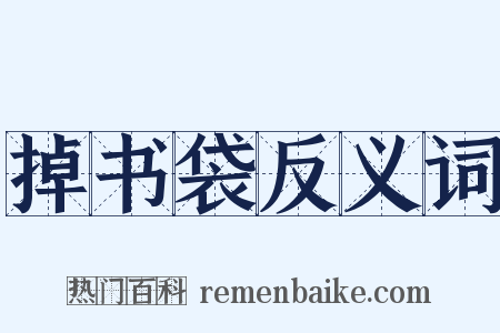 掉书袋反义词是什么意思的图片